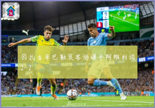 因扎吉率巴勒莫客场逼平阿维利诺2-2